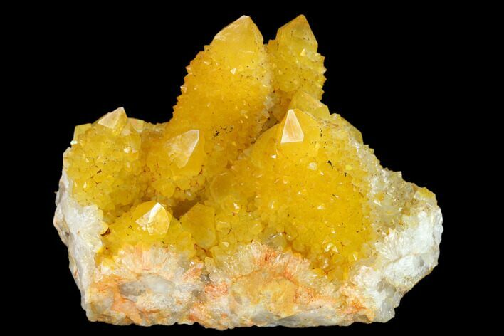 Sunshine Cactus Quartz Crystal Cluster - South Africa #132893
